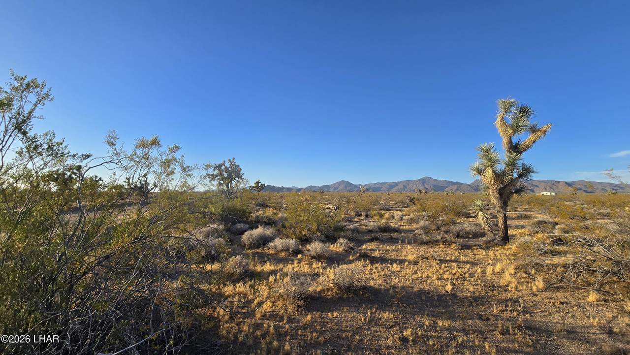 https://bt-photos.global.ssl.fastly.net/lakehavasu/1280_boomver_1_1041270-2.jpg