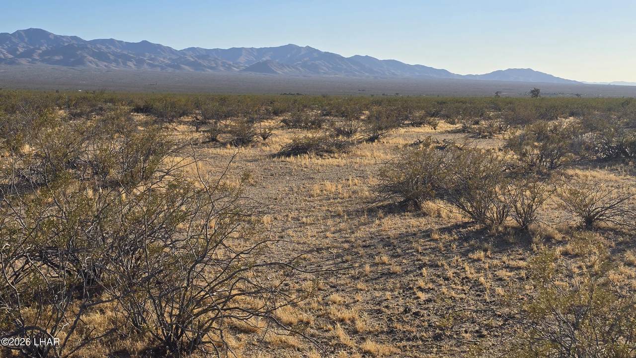 https://bt-photos.global.ssl.fastly.net/lakehavasu/1280_boomver_1_1041271-2.jpg