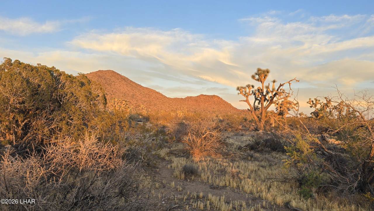 https://bt-photos.global.ssl.fastly.net/lakehavasu/1280_boomver_1_1041279-2.jpg