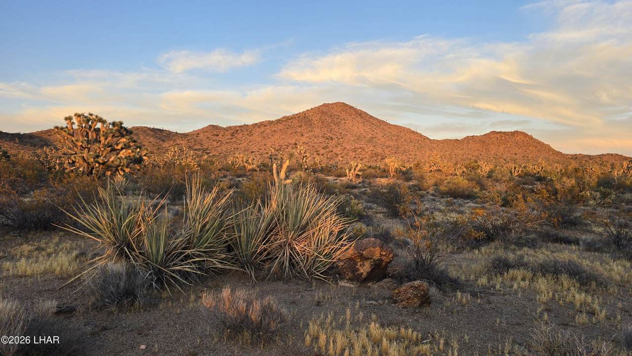https://bt-photos.global.ssl.fastly.net/lakehavasu/1280_boomver_1_1041279-2.jpg