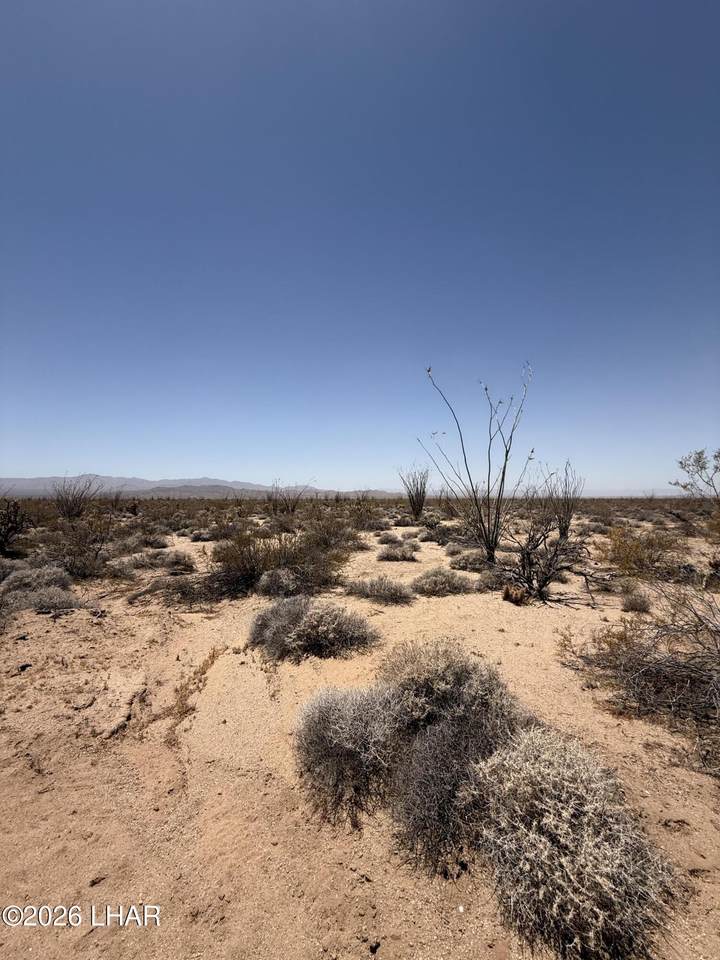 https://bt-photos.global.ssl.fastly.net/lakehavasu/1280_boomver_1_1041372-2.jpg
