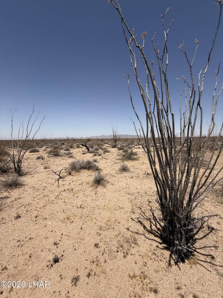 https://bt-photos.global.ssl.fastly.net/lakehavasu/1280_boomver_1_1041372-2.jpg