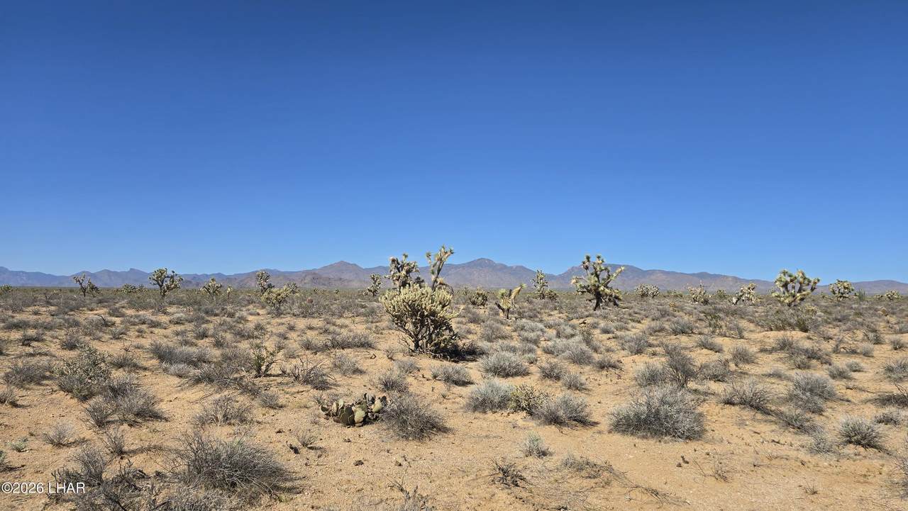 https://bt-photos.global.ssl.fastly.net/lakehavasu/orig_boomver_1_1041659-2.jpg