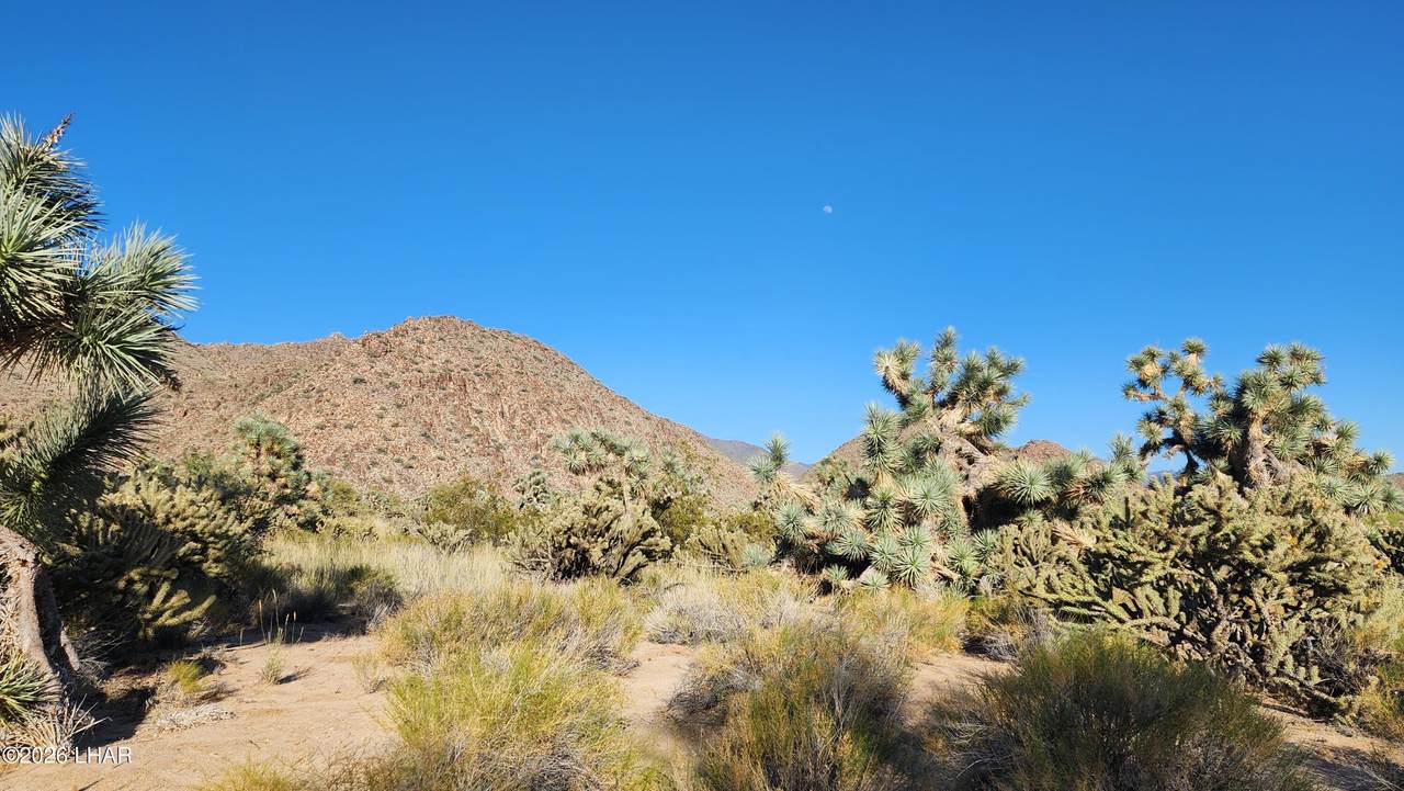 https://bt-photos.global.ssl.fastly.net/lakehavasu/1280_boomver_1_1042032-2.jpg