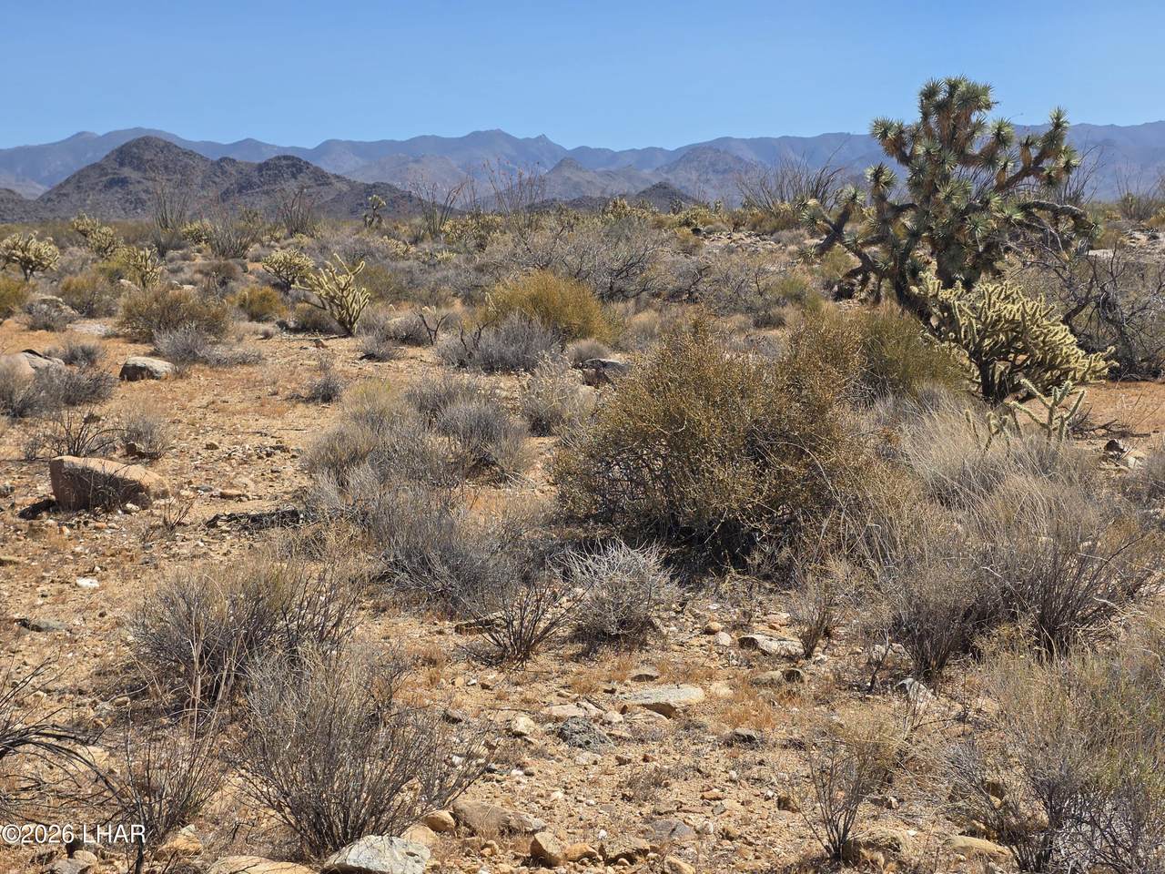https://bt-photos.global.ssl.fastly.net/lakehavasu/1280_boomver_1_1042055-2.jpg