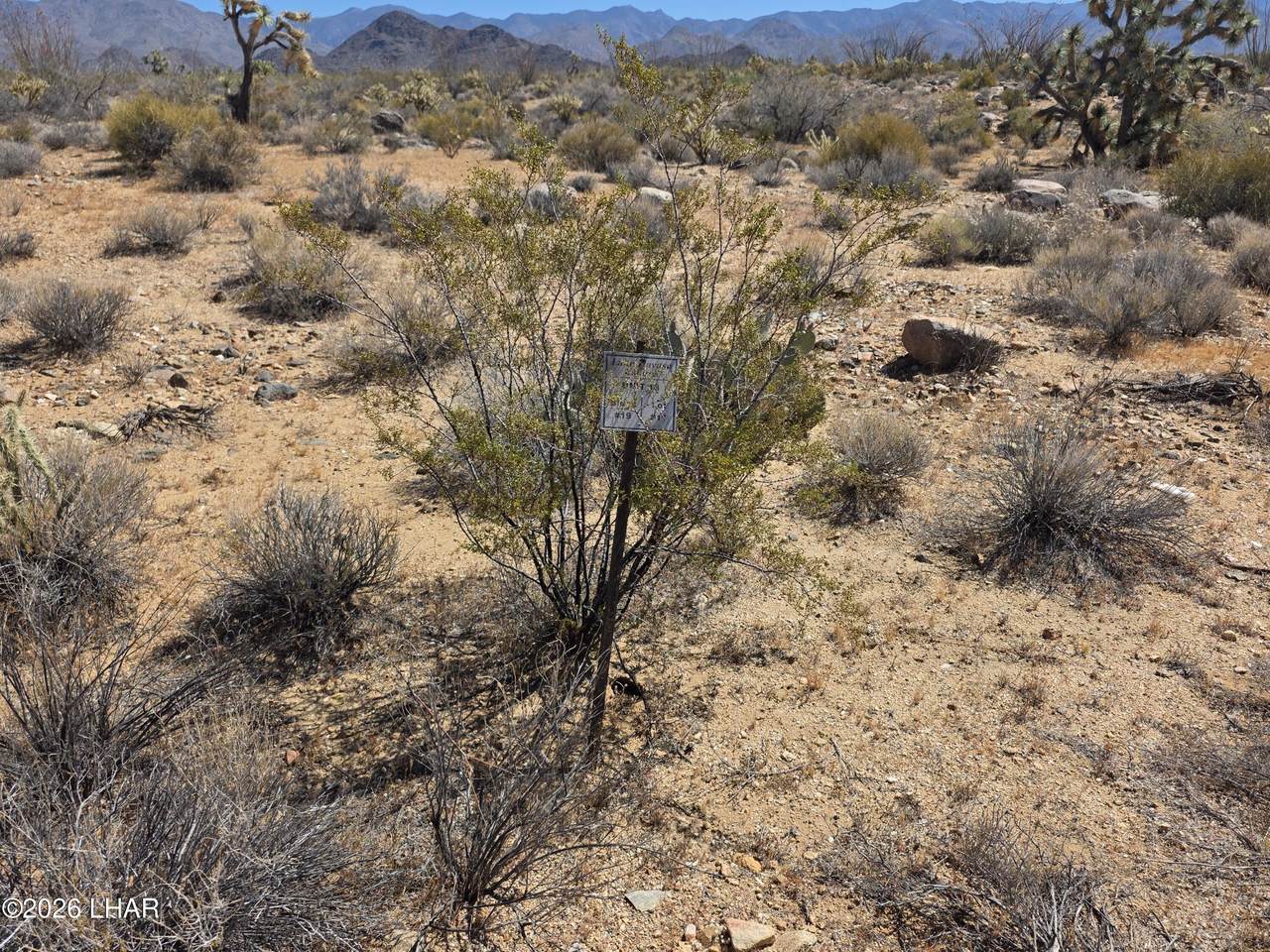 https://bt-photos.global.ssl.fastly.net/lakehavasu/1280_boomver_1_1042055-2.jpg