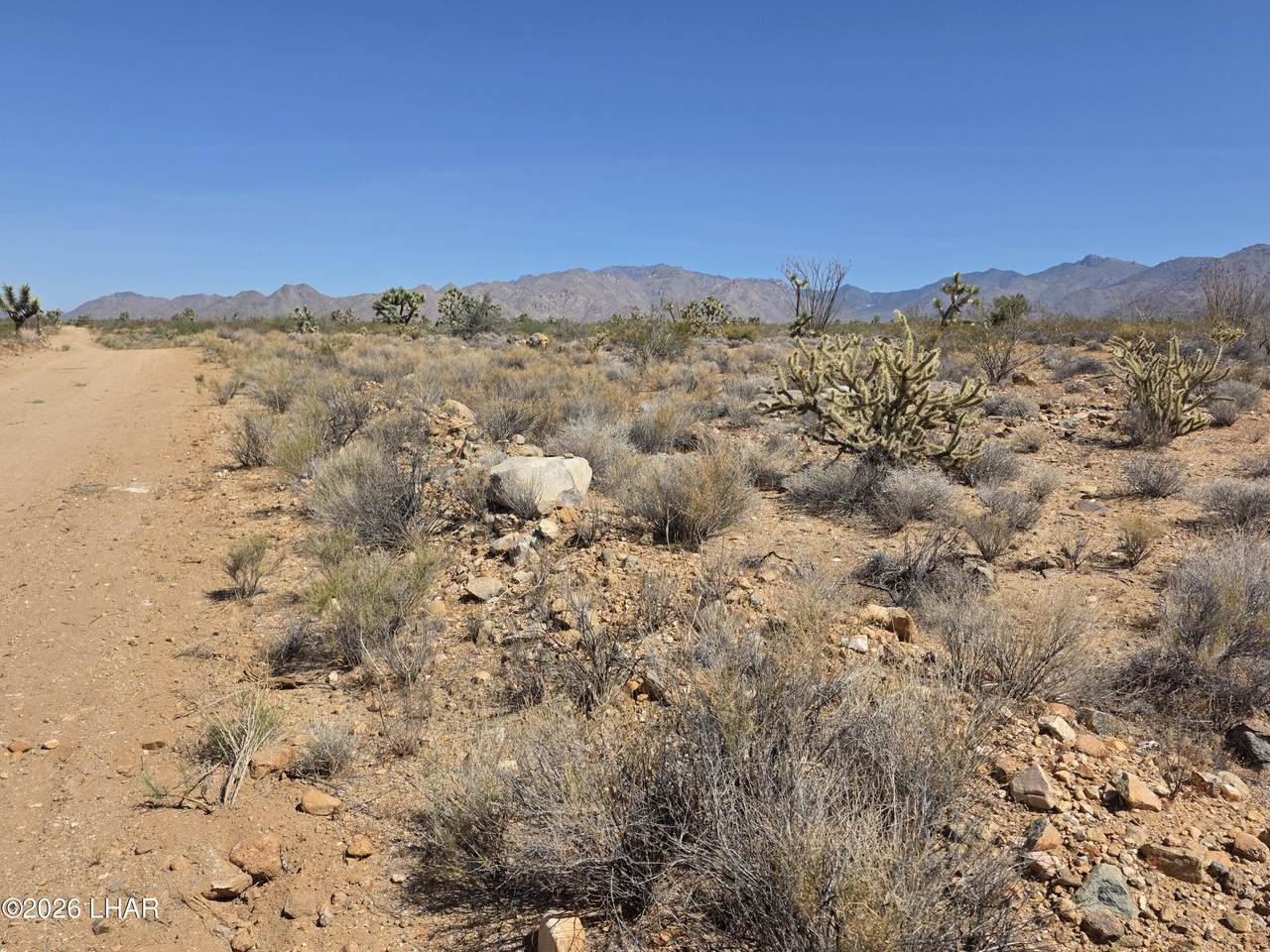 https://bt-photos.global.ssl.fastly.net/lakehavasu/1280_boomver_1_1042055-2.jpg