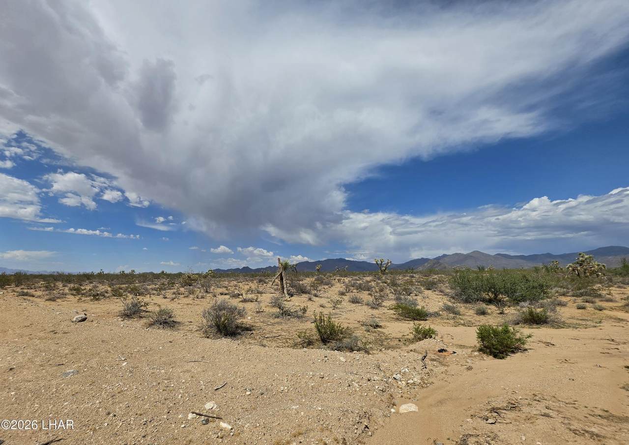 https://bt-photos.global.ssl.fastly.net/lakehavasu/1280_boomver_1_1042541-2.jpg