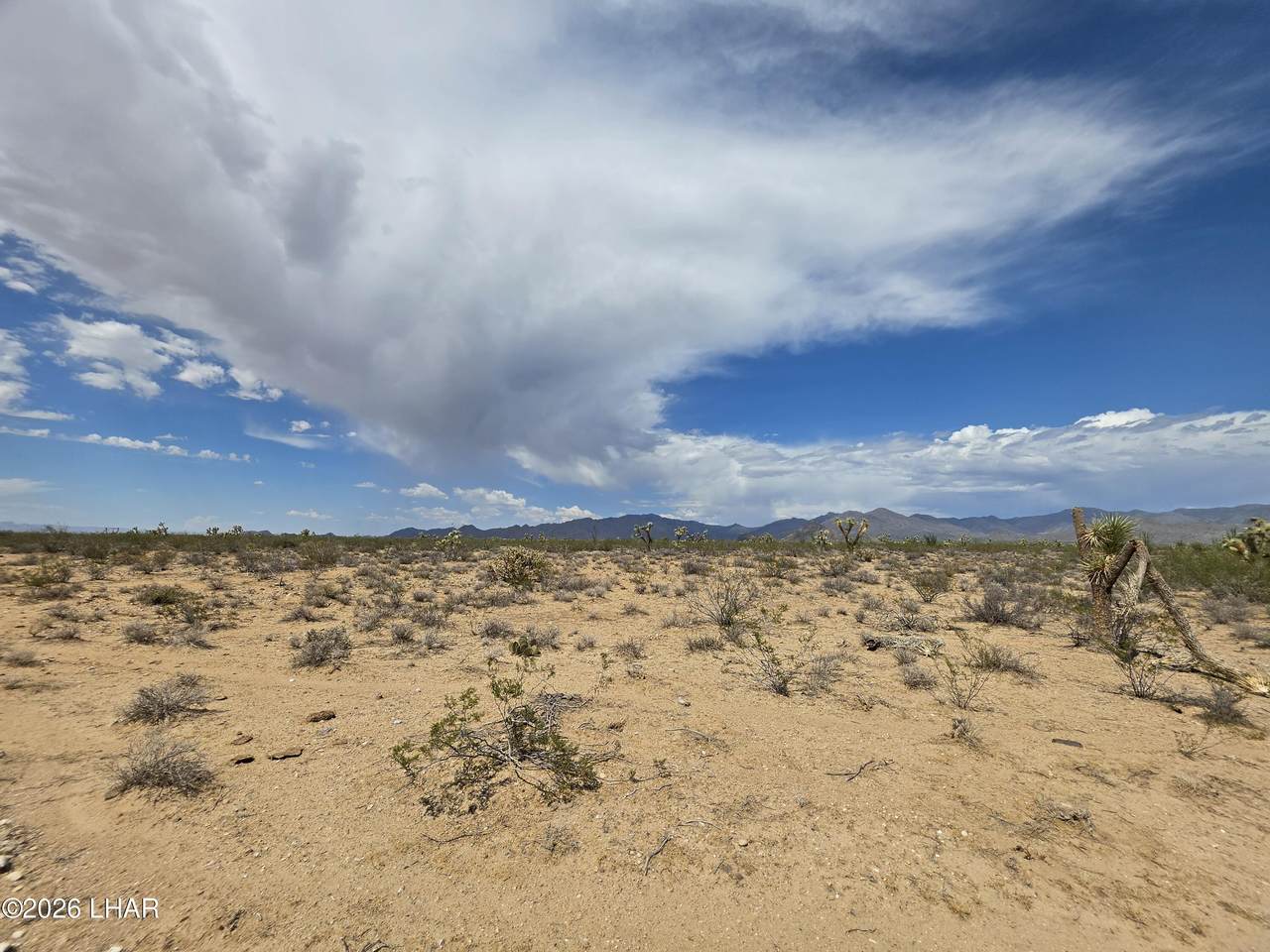https://bt-photos.global.ssl.fastly.net/lakehavasu/1280_boomver_1_1042541-2.jpg