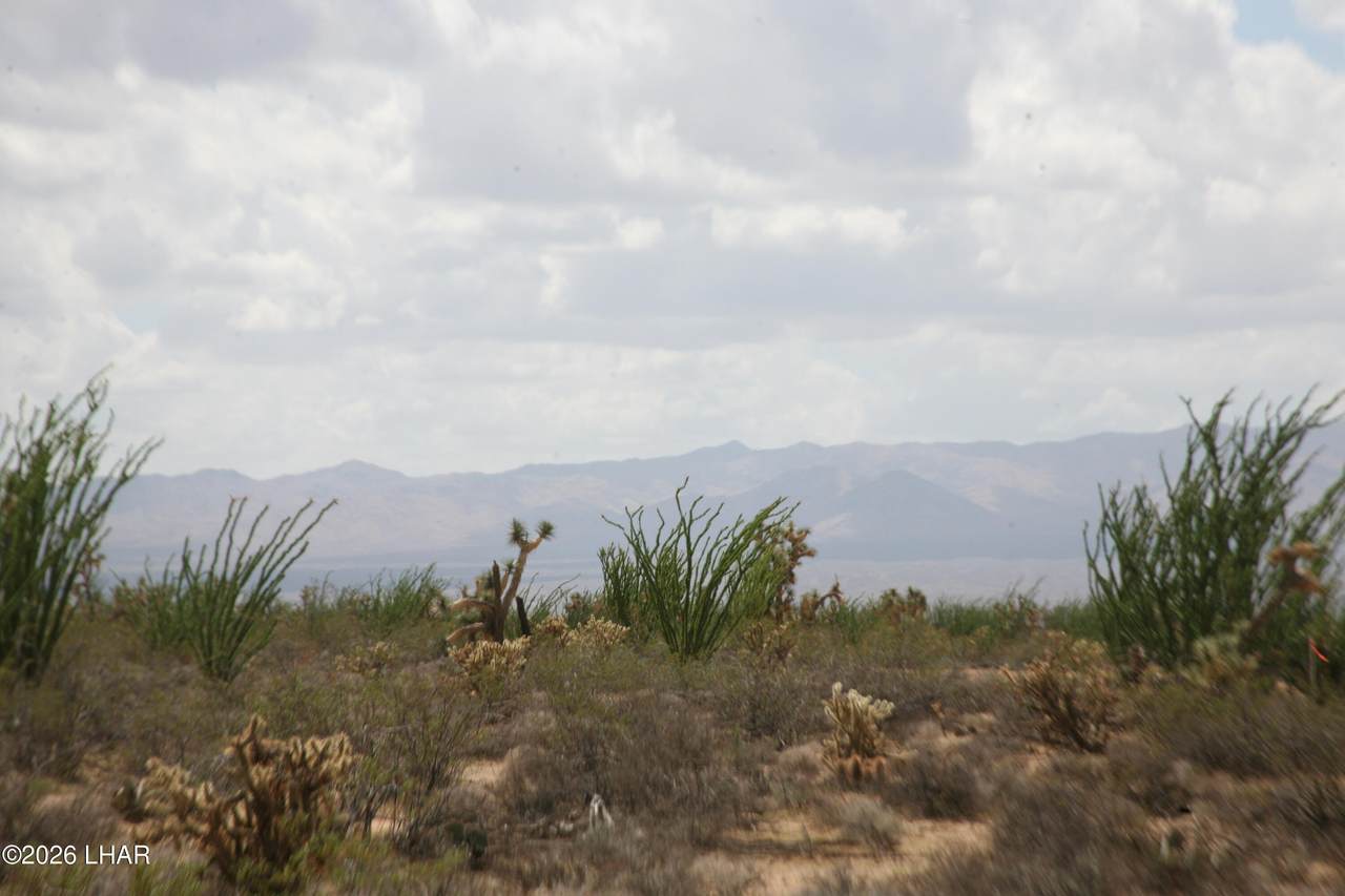 242-05-015 Gene Autry Rd - Photo 1