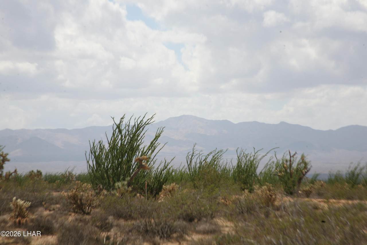 https://bt-photos.global.ssl.fastly.net/lakehavasu/1280_boomver_1_1042559-2.jpg