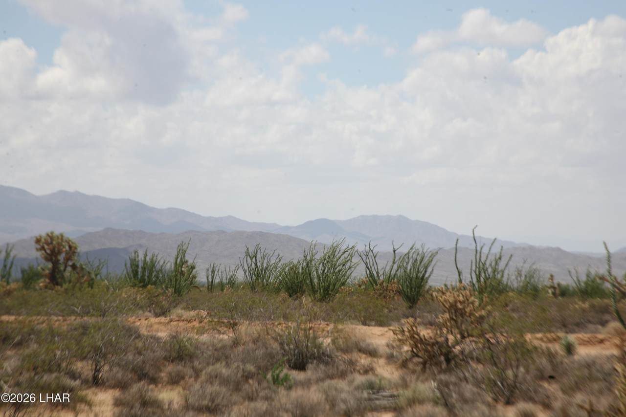 https://bt-photos.global.ssl.fastly.net/lakehavasu/1280_boomver_1_1042559-2.jpg