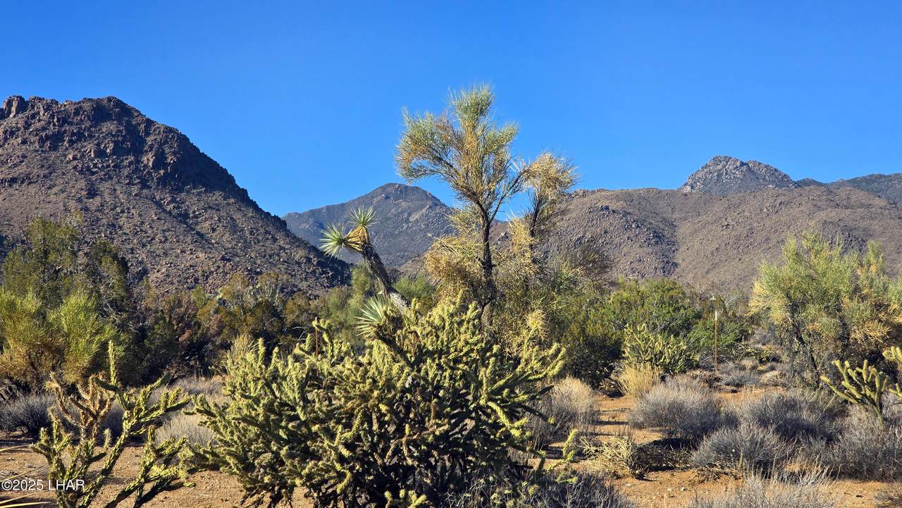 https://bt-photos.global.ssl.fastly.net/lakehavasu/orig_boomver_1_1042560-2.jpg