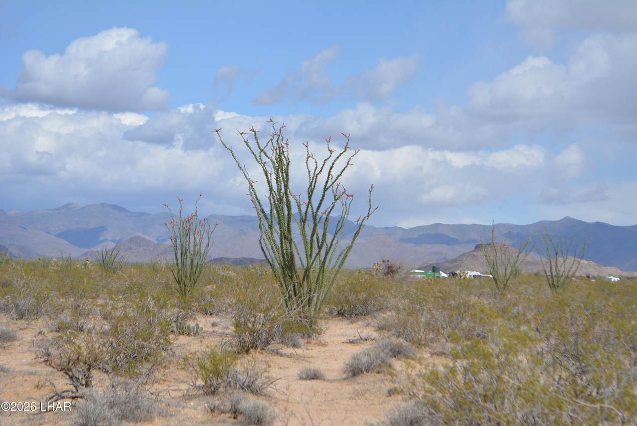 https://bt-photos.global.ssl.fastly.net/lakehavasu/1280_boomver_1_1042563-2.jpg