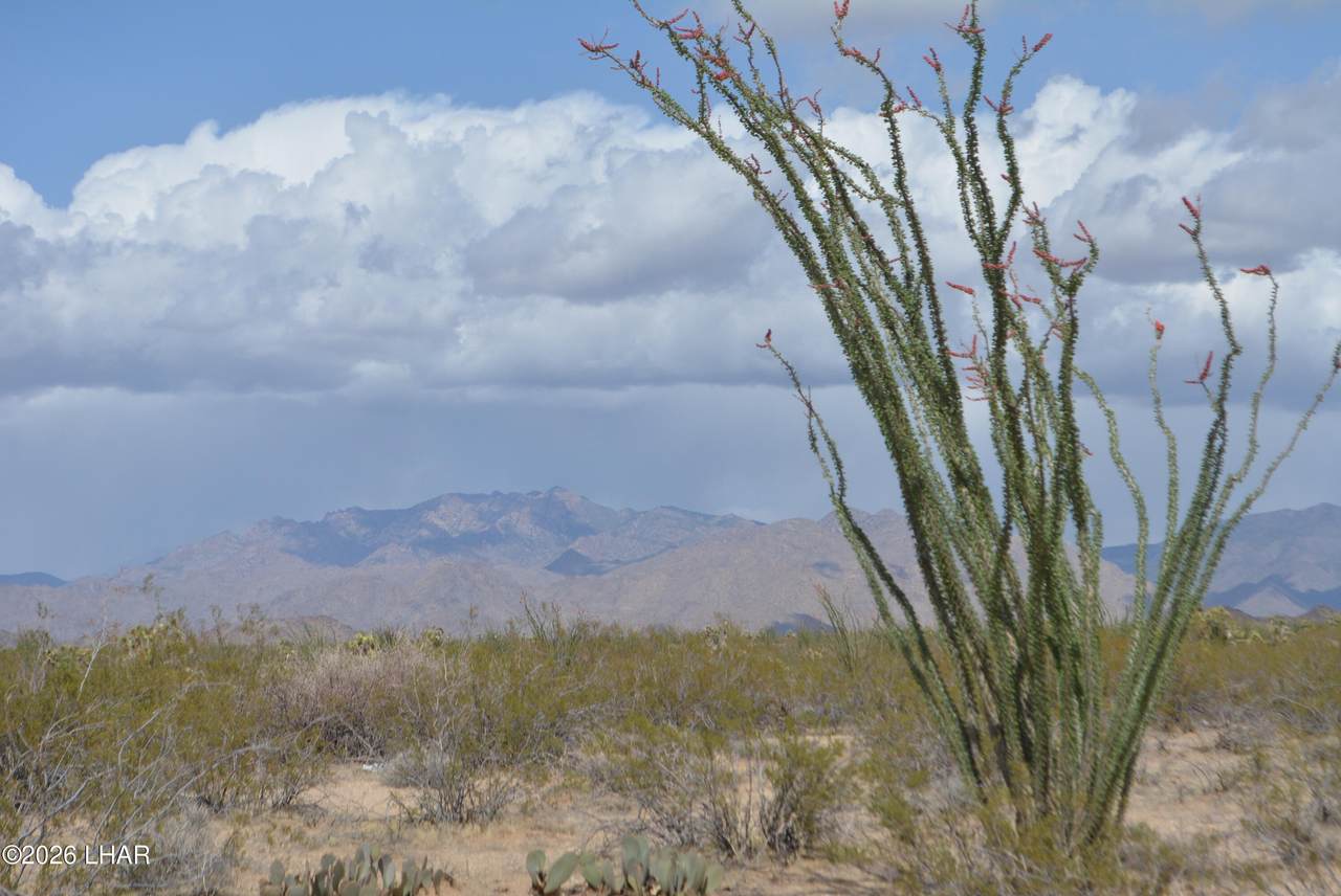 https://bt-photos.global.ssl.fastly.net/lakehavasu/1280_boomver_1_1042563-2.jpg