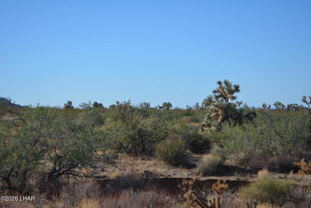 https://bt-photos.global.ssl.fastly.net/lakehavasu/1280_boomver_1_1042614-2.jpg