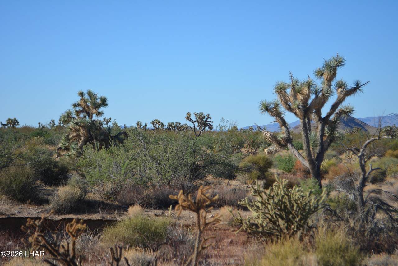 https://bt-photos.global.ssl.fastly.net/lakehavasu/1280_boomver_1_1042614-2.jpg