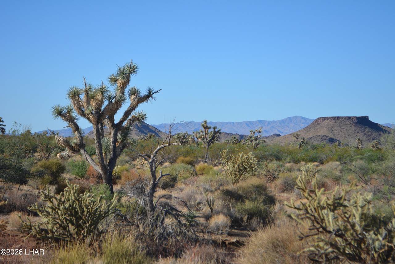 https://bt-photos.global.ssl.fastly.net/lakehavasu/1280_boomver_1_1042614-2.jpg