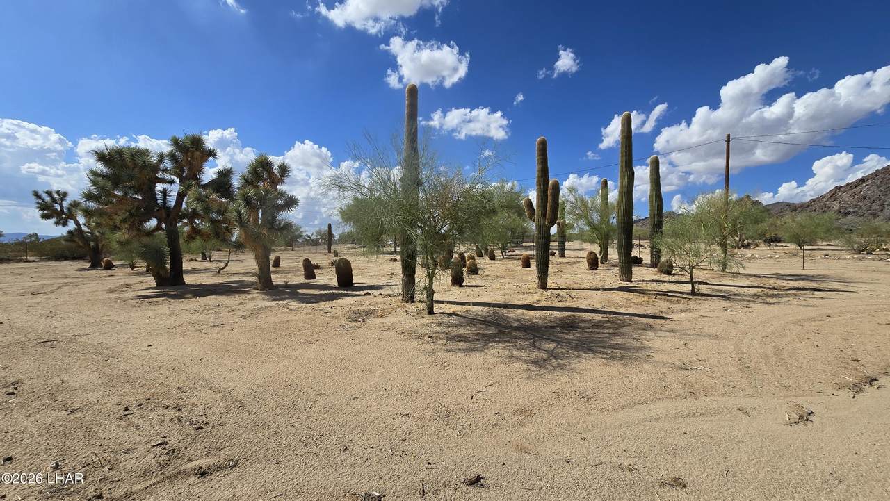 https://bt-photos.global.ssl.fastly.net/lakehavasu/1280_boomver_1_1042675-2.jpg