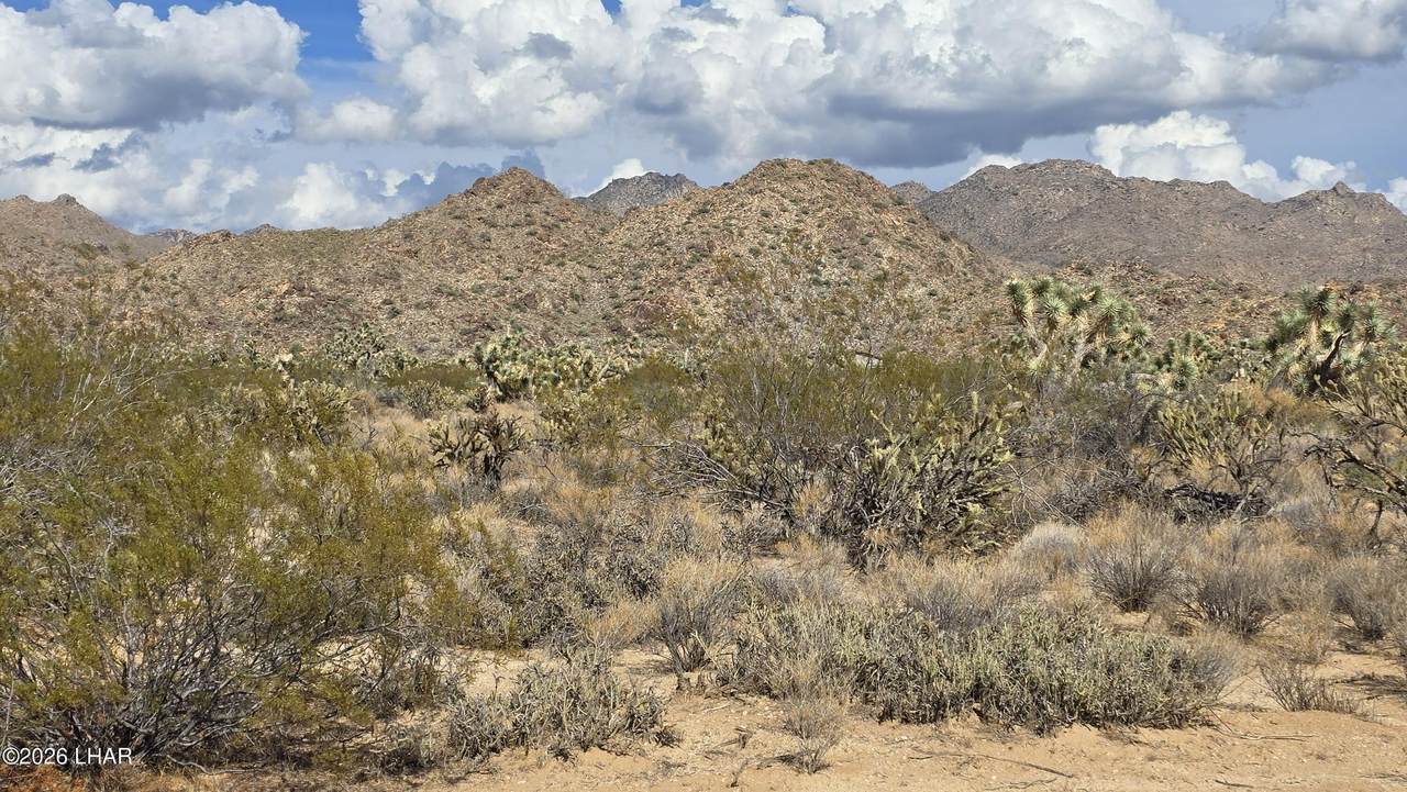 https://bt-photos.global.ssl.fastly.net/lakehavasu/1280_boomver_1_1042676-2.jpg
