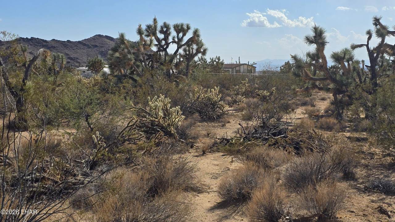 https://bt-photos.global.ssl.fastly.net/lakehavasu/1280_boomver_1_1042676-2.jpg