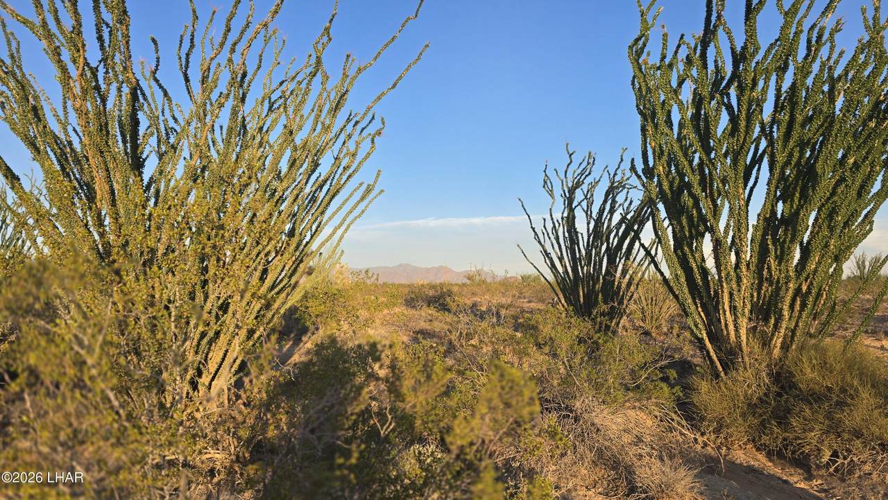 https://bt-photos.global.ssl.fastly.net/lakehavasu/1280_boomver_1_1042678-2.jpg