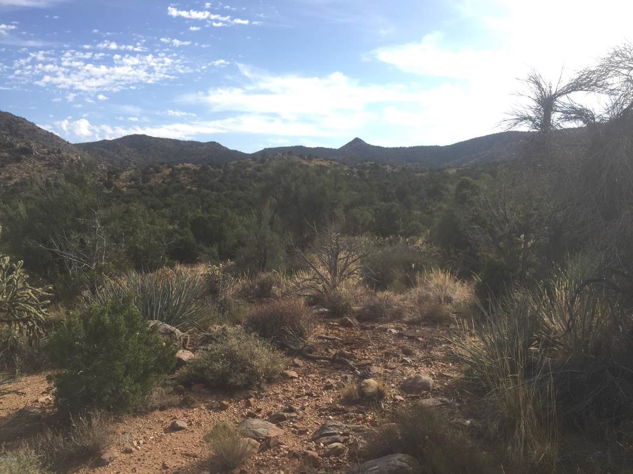 0 Unknown Doyle Rd - Photo 1
