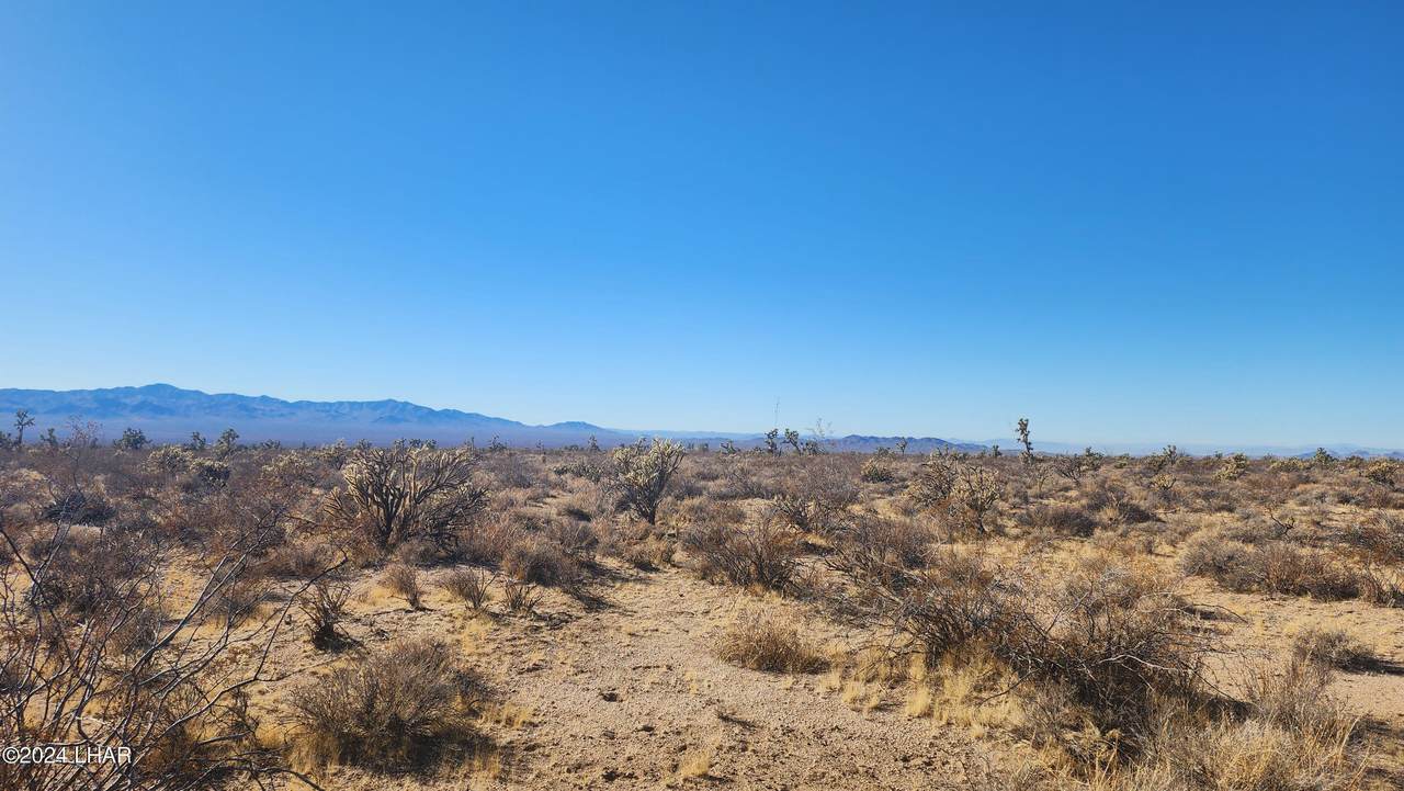 https://bt-photos.global.ssl.fastly.net/lakehavasu/1280_boomver_2_1026714-2.jpg