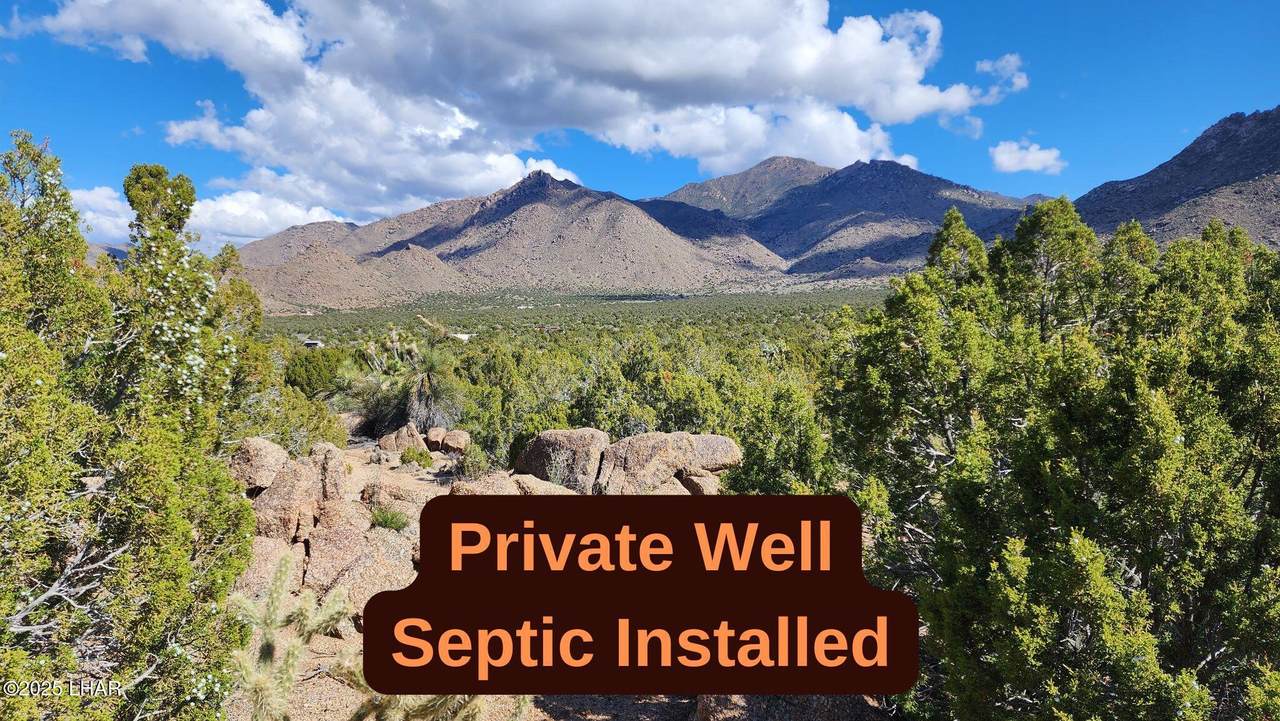 3288-C Sun Valley Dr - Photo 1