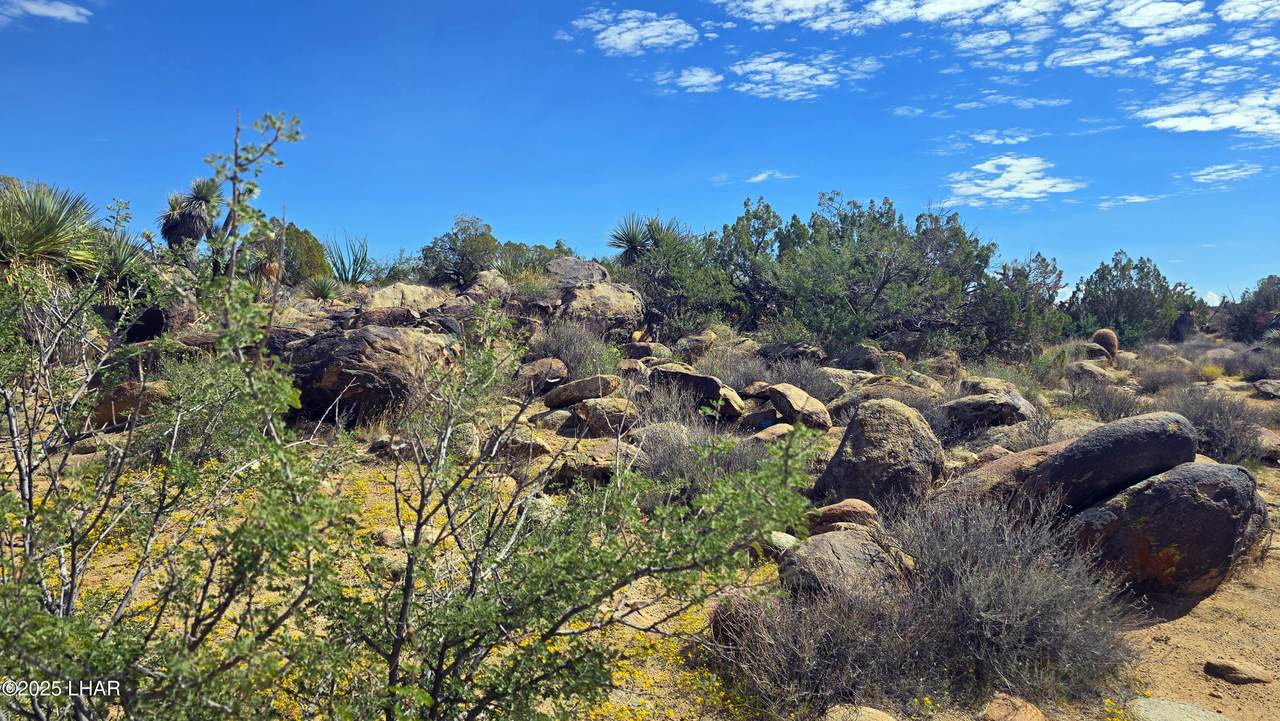 https://bt-photos.global.ssl.fastly.net/lakehavasu/1280_boomver_2_1037842-2.jpg
