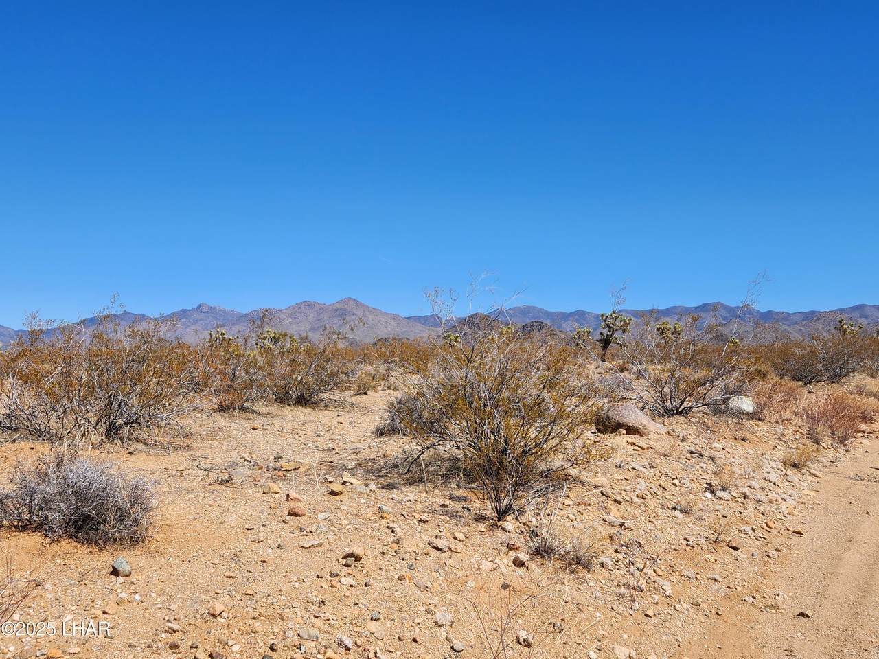 https://bt-photos.global.ssl.fastly.net/lakehavasu/1280_boomver_2_1038414-2.jpg