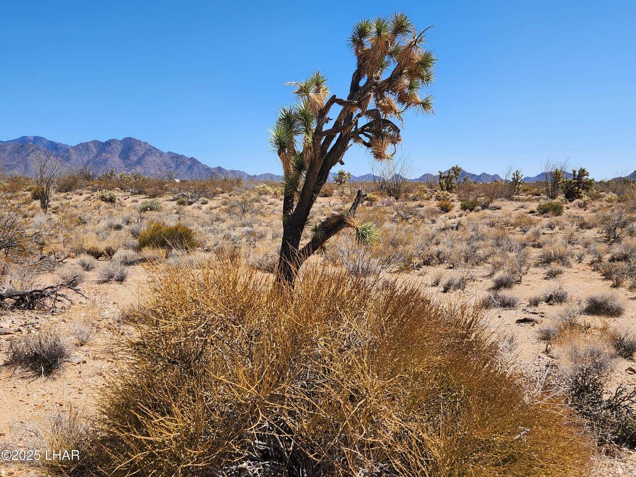 https://bt-photos.global.ssl.fastly.net/lakehavasu/1280_boomver_2_1038431-2.jpg