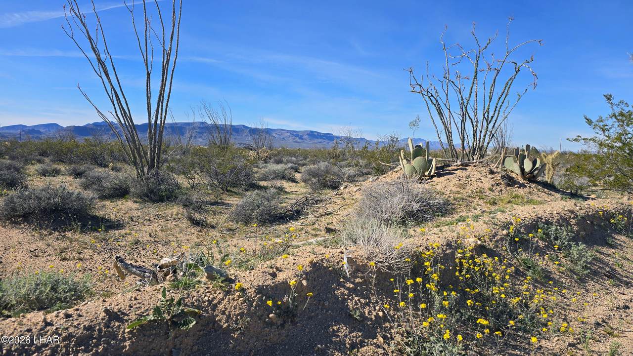 3035 Castle Butte Rd - Photo 1