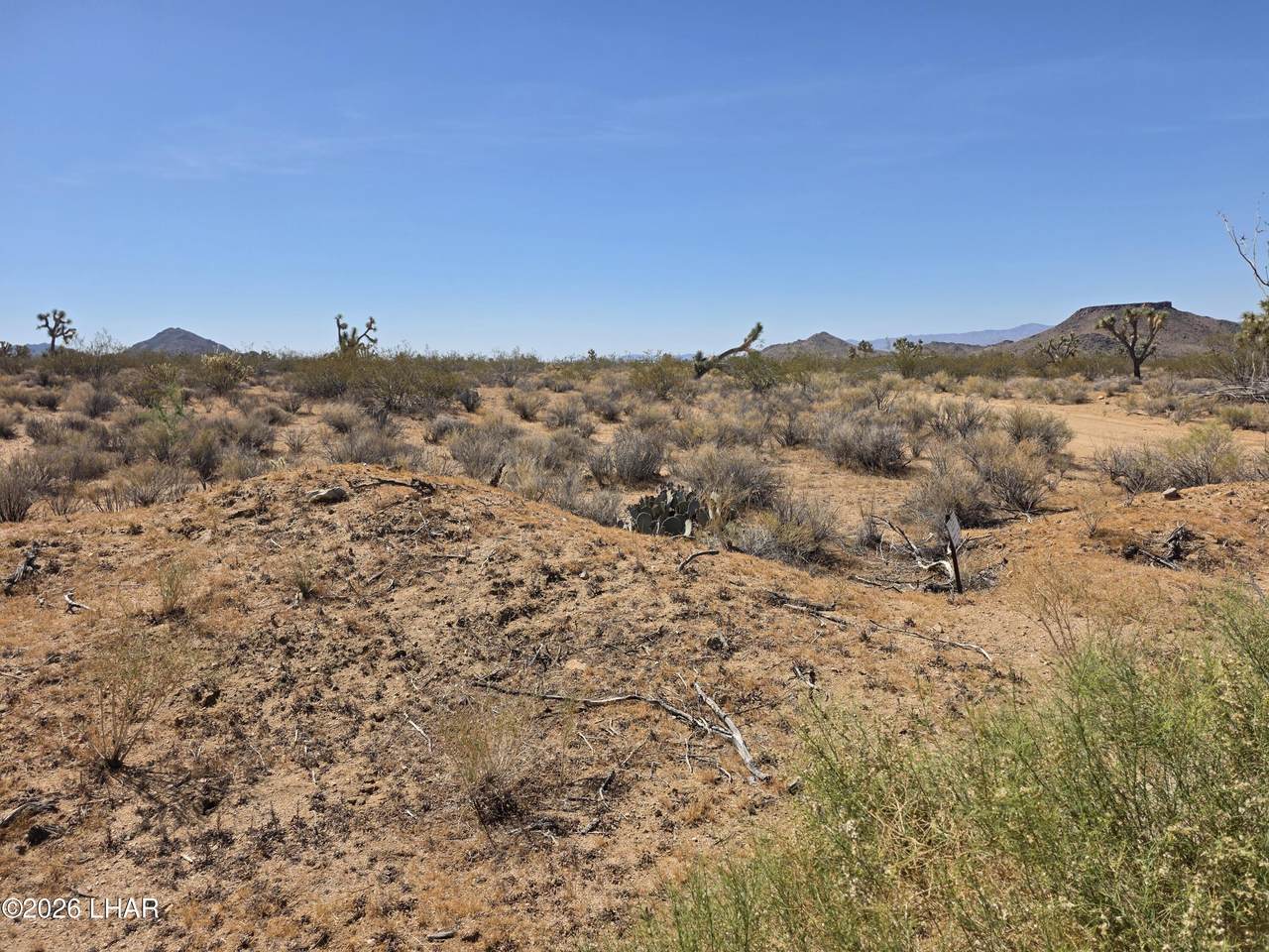 https://bt-photos.global.ssl.fastly.net/lakehavasu/1280_boomver_2_1040331-2.jpg