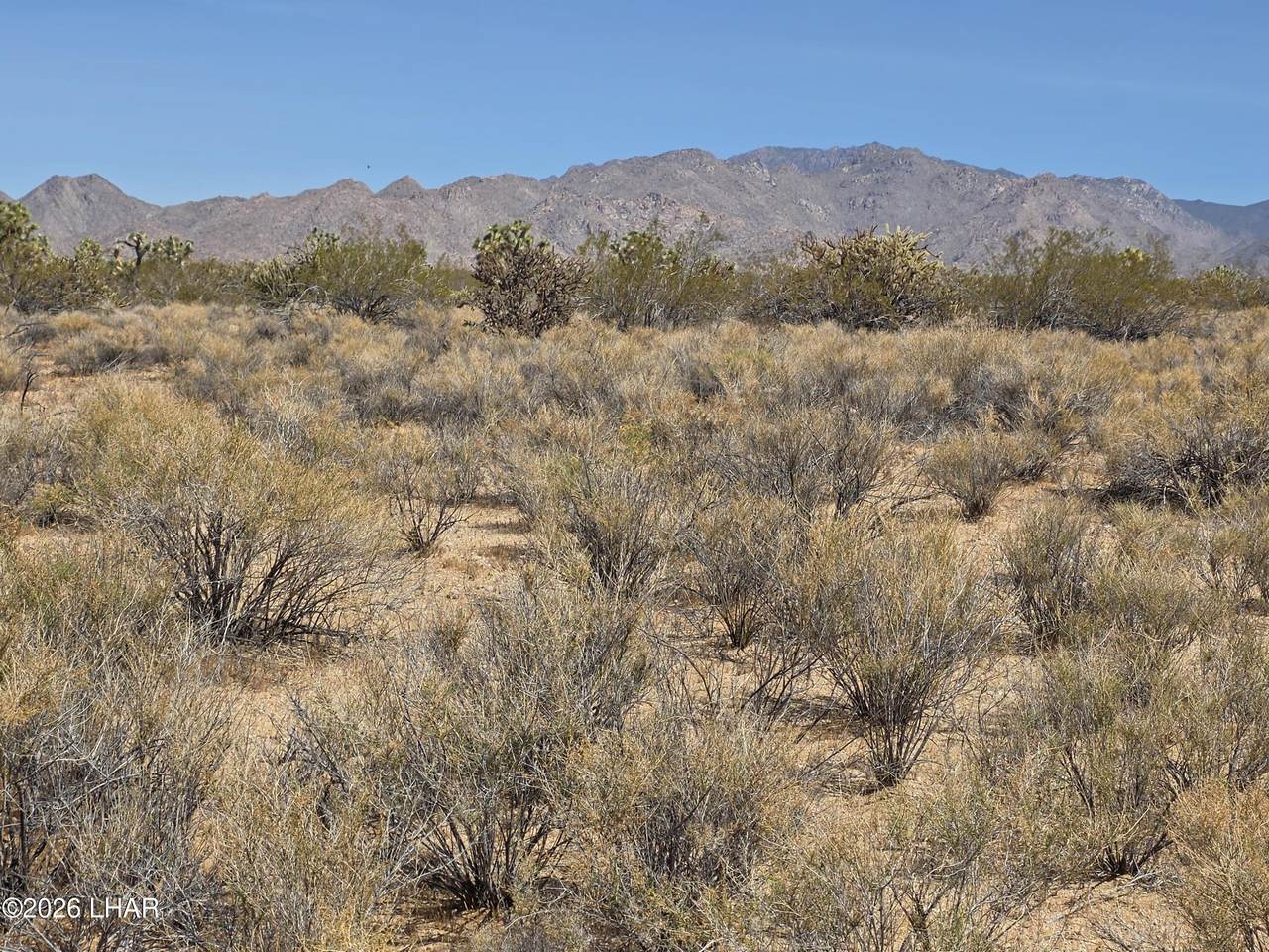 https://bt-photos.global.ssl.fastly.net/lakehavasu/1280_boomver_2_1040419-2.jpg