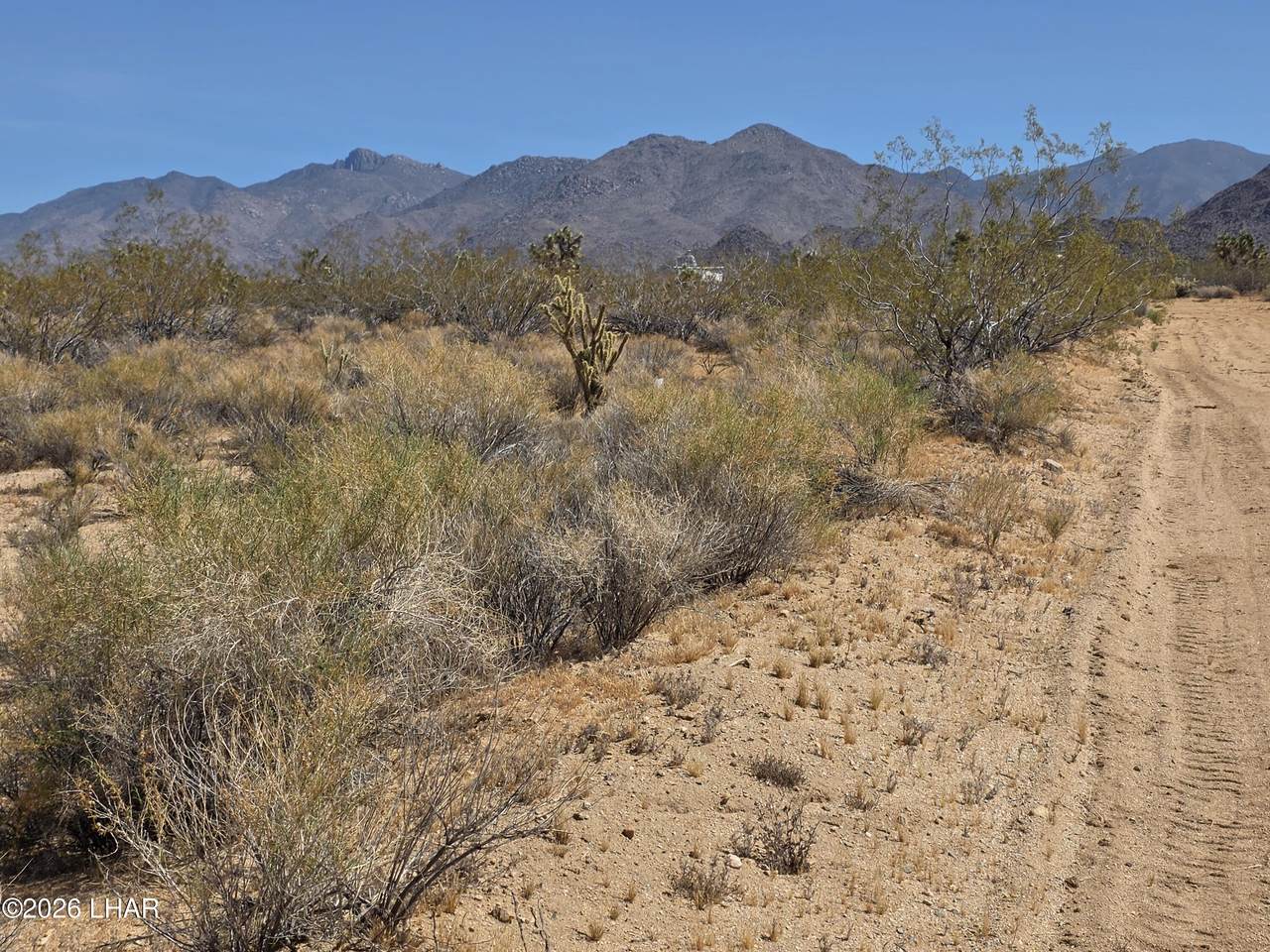 https://bt-photos.global.ssl.fastly.net/lakehavasu/1280_boomver_2_1040419-2.jpg