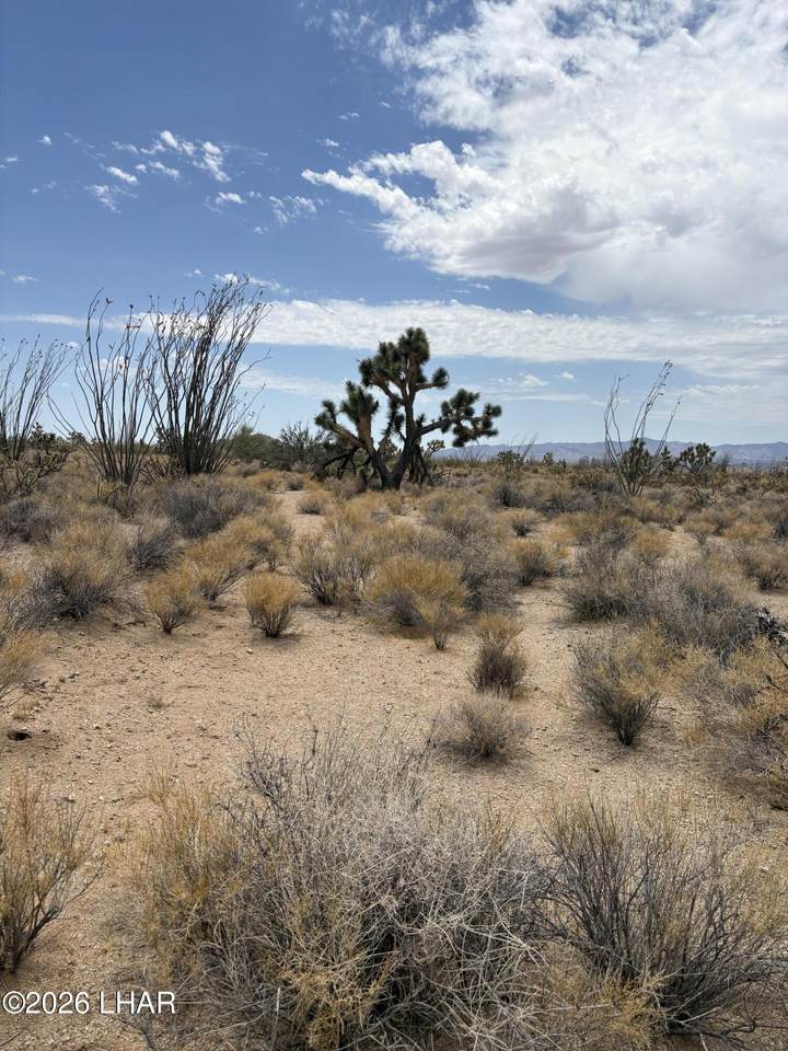 https://bt-photos.global.ssl.fastly.net/lakehavasu/1280_boomver_2_1041414-2.jpg