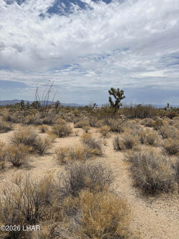 https://bt-photos.global.ssl.fastly.net/lakehavasu/1280_boomver_2_1041414-2.jpg