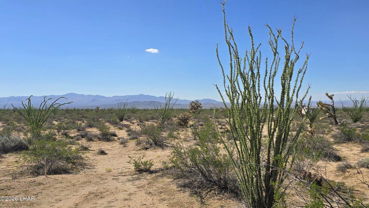 https://bt-photos.global.ssl.fastly.net/lakehavasu/1280_boomver_2_1042792-2.jpg