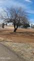 39836 Harquahala Rd - Photo 4