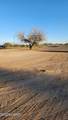39836 Harquahala Rd - Photo 5