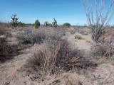 Parcel 439 Tom Mix Road - Photo 5