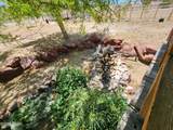 7648 Sky View Dr - Photo 46