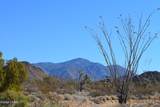 434 Cactus Wren Dr - Photo 13