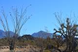 434 Cactus Wren Dr - Photo 14