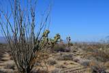 434 Cactus Wren Dr - Photo 18