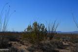 434 Cactus Wren Dr - Photo 19