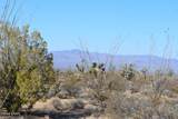434 Cactus Wren Dr - Photo 20
