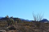 434 Cactus Wren Dr - Photo 28