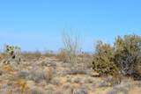 434 Cactus Wren Dr - Photo 30